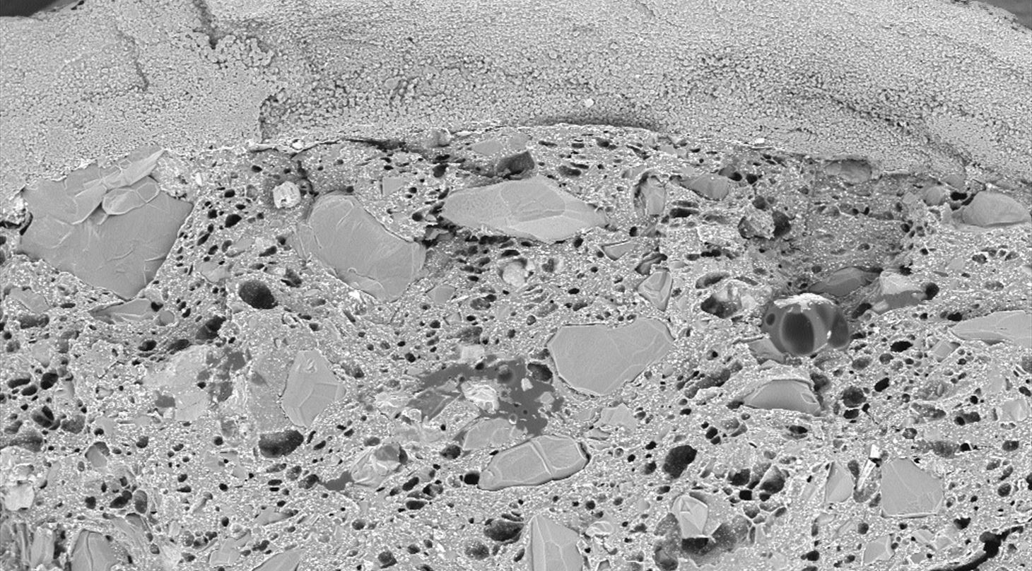 SEM image of a cross section og a pharmaceutical gum